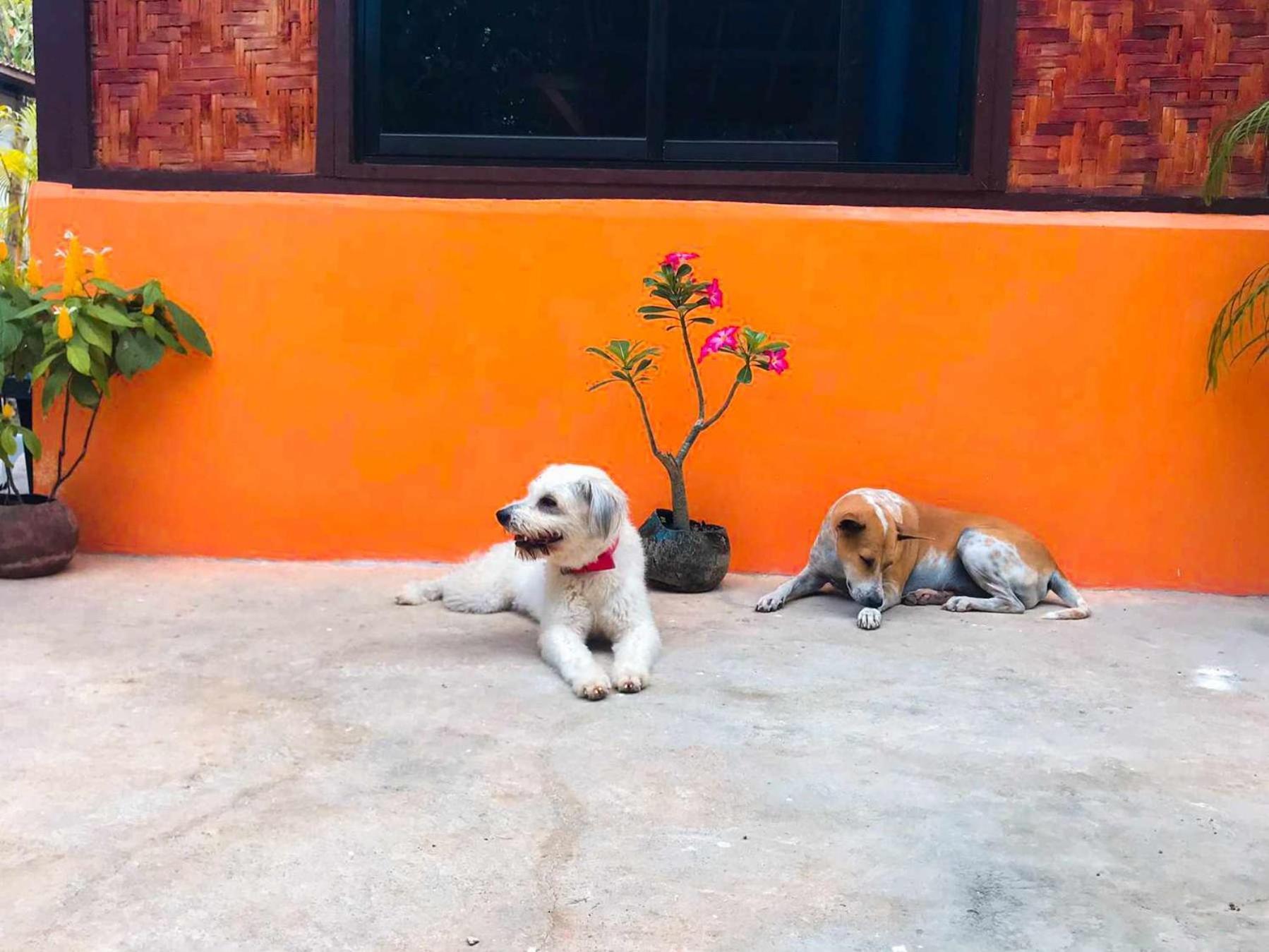 Don Leo'S Bnb Esperanza ภายนอก รูปภาพ